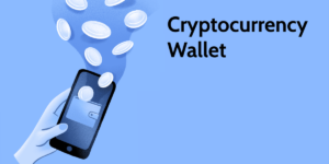 What Is a Cryptocurrency Wallet