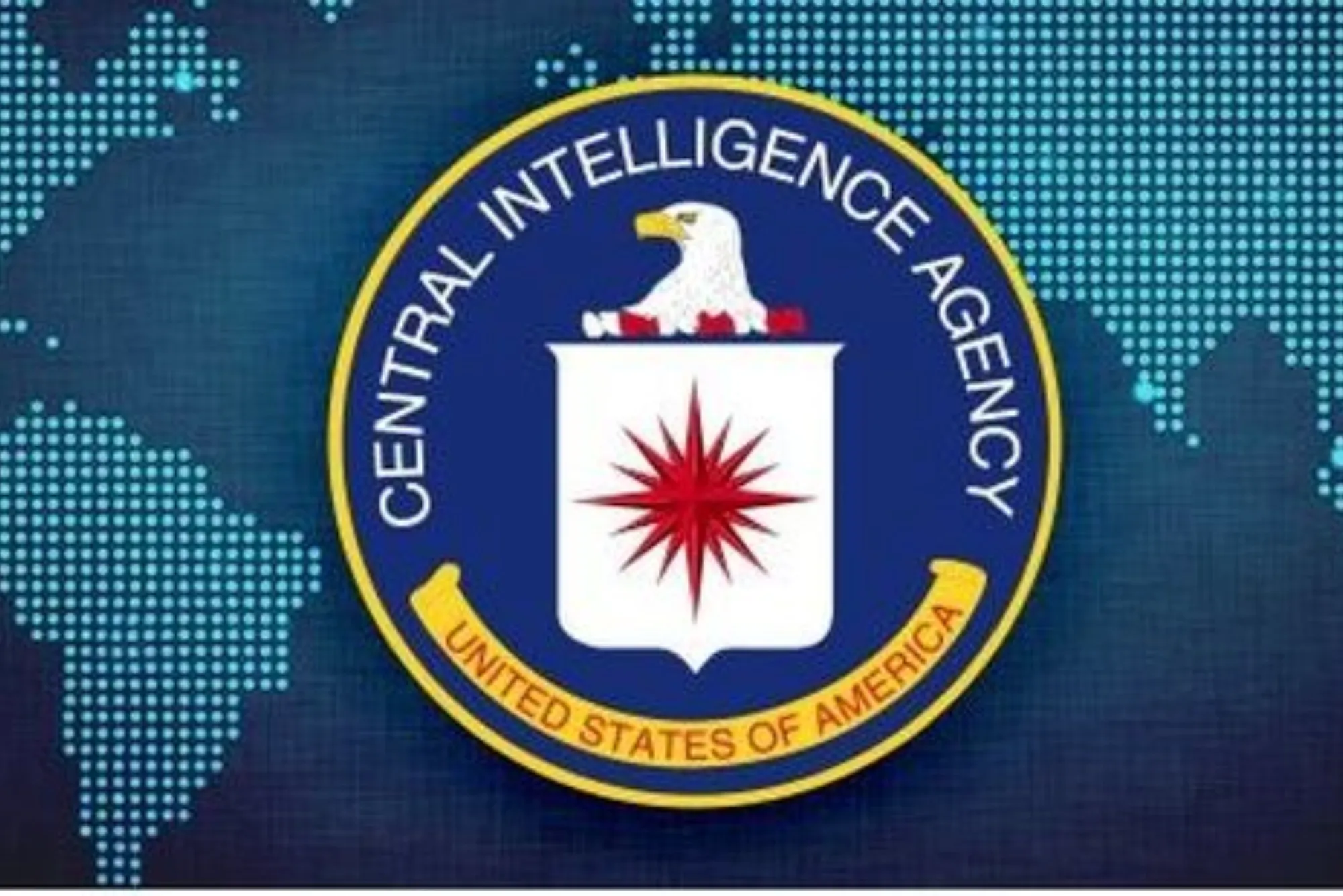 Security And Intelligence Services Share Price