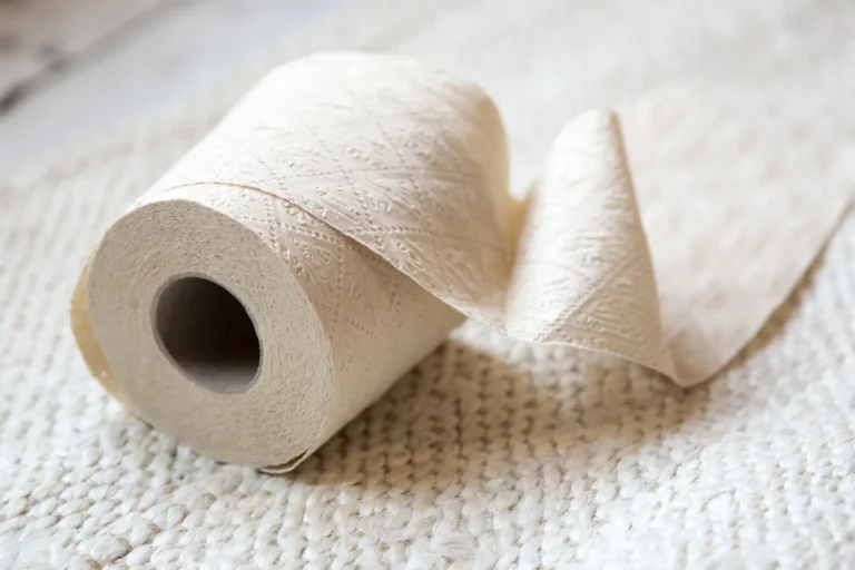 Is Zero Waste Toilet Paper Sustainable
