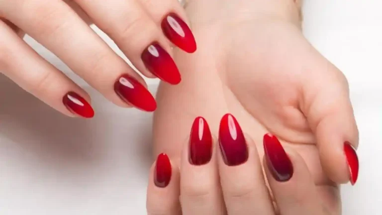 OXXI Professional: Where Performance Meets Polish Perfection